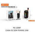 CAIXA DE SOM 20W